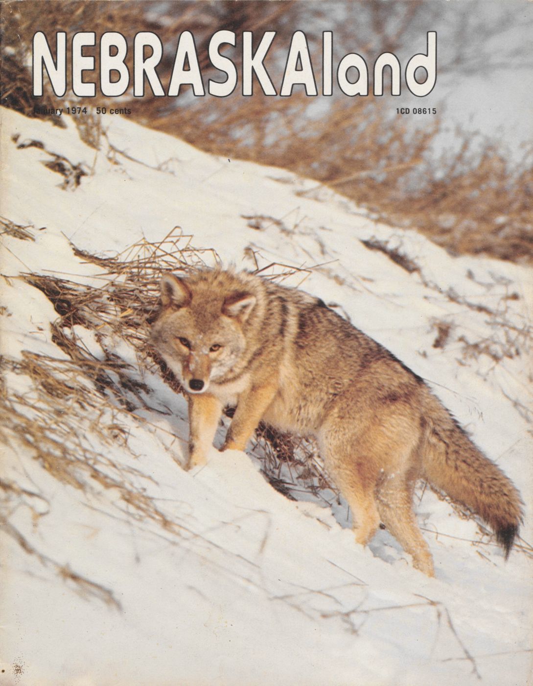 Nebraskaland digital archive